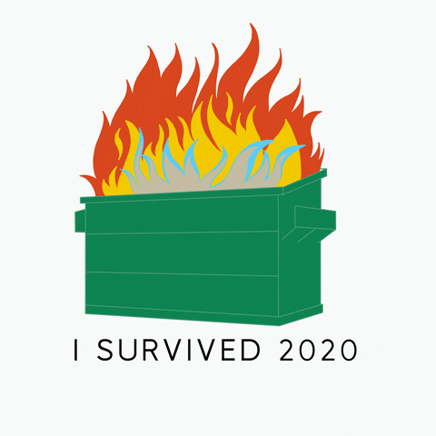I survived 2020 gif by @brujahahahaha