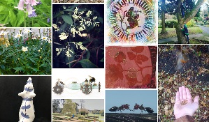 Montage of images from Sharing Nature